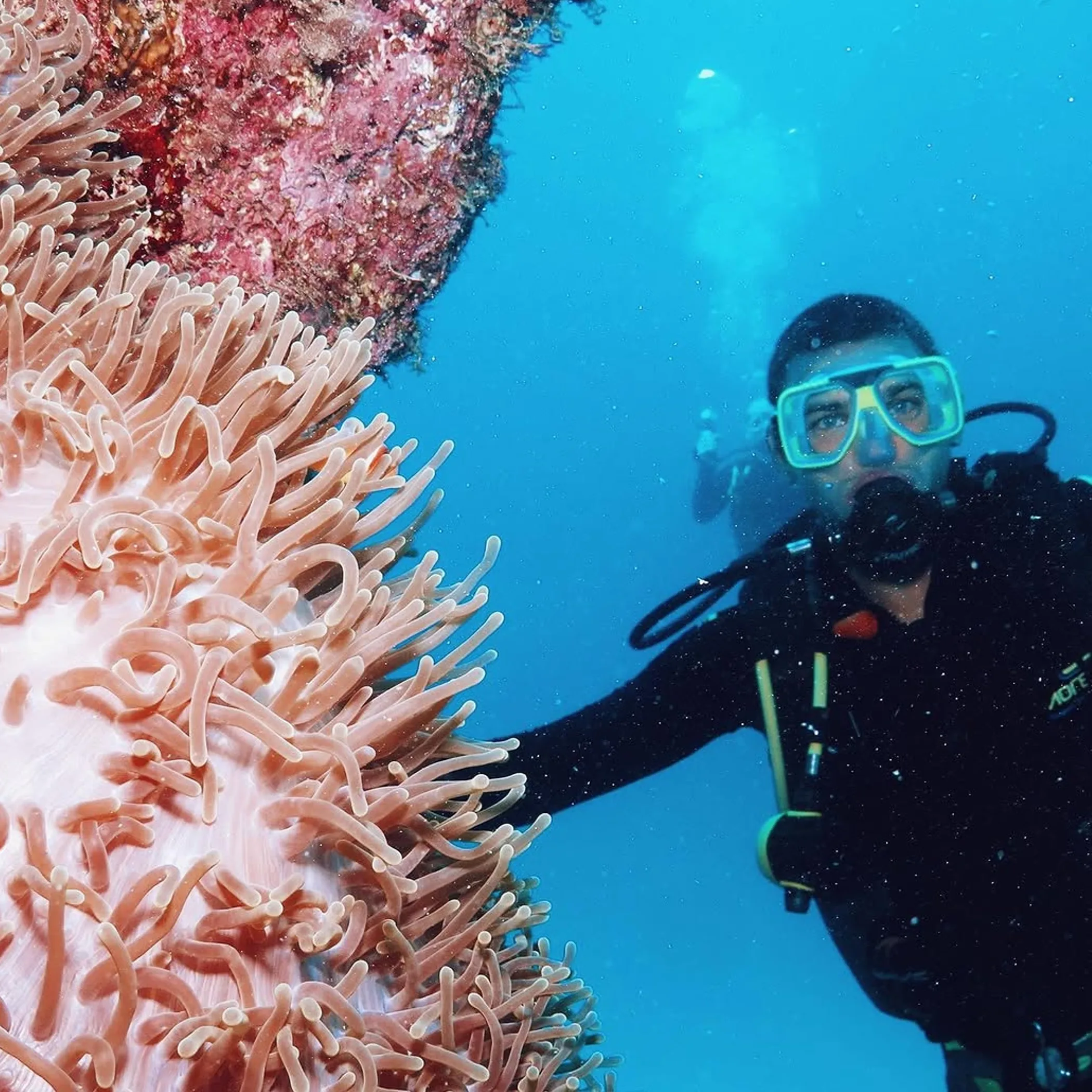 diver swimming near coral reef