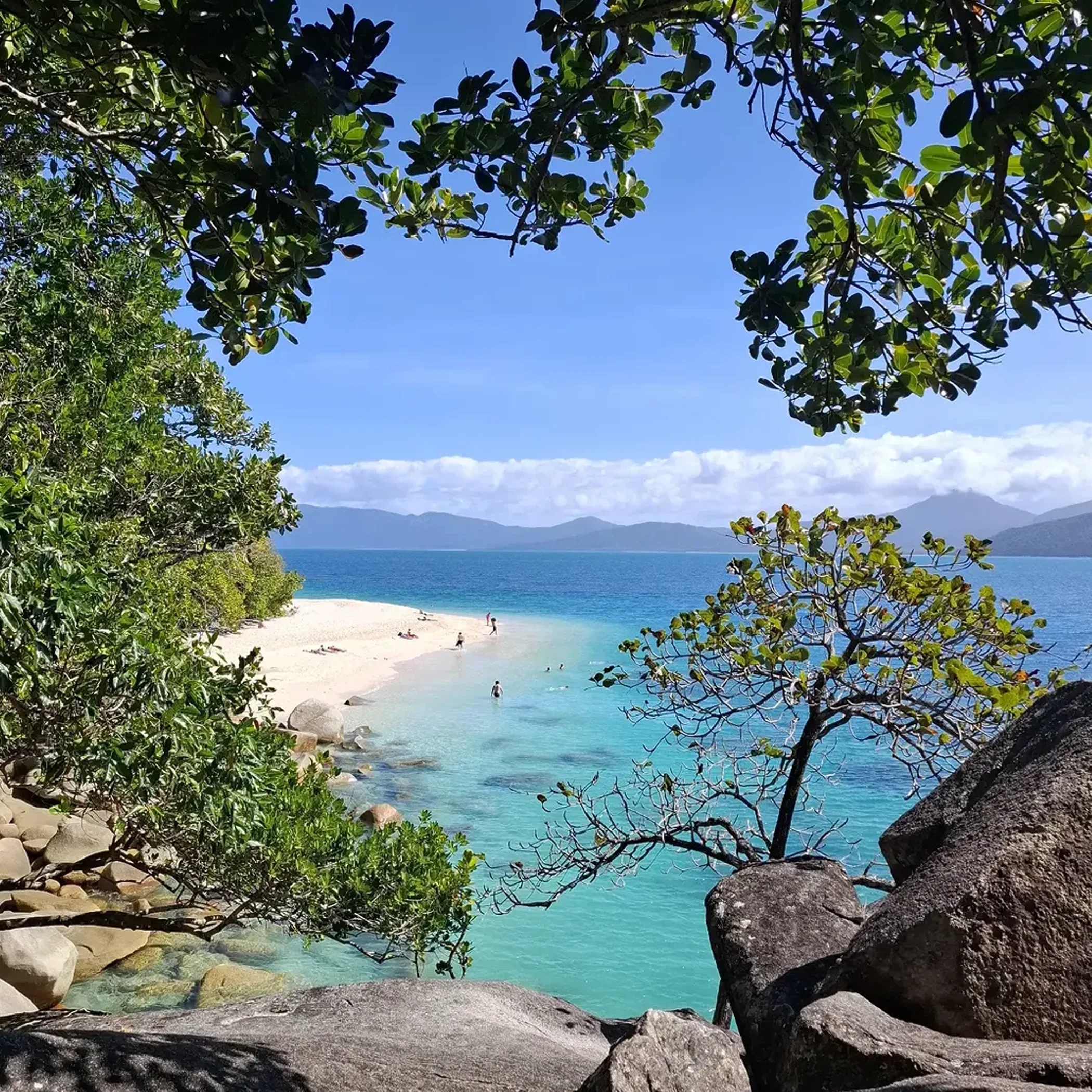 tropical beach and coral reef australia